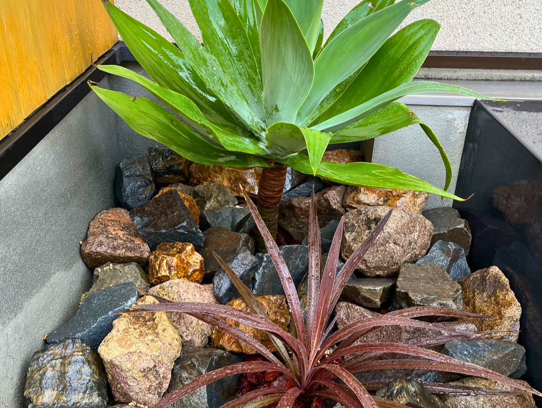 Y様邸リフォーム外構工事